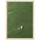 The Good Shepherd